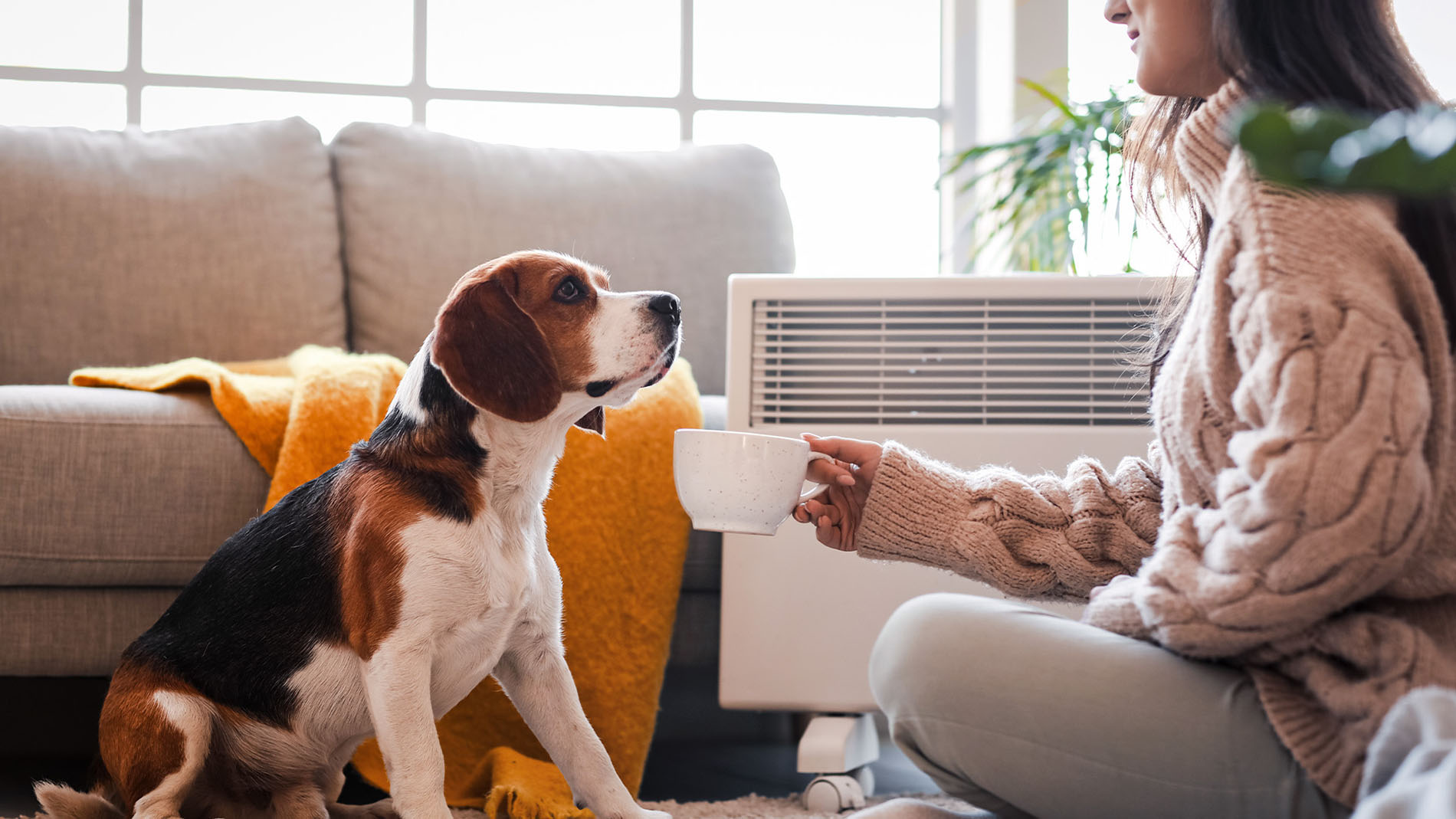 Kehrer_DeineMobileWärme_Website_Grafik_Galerie04